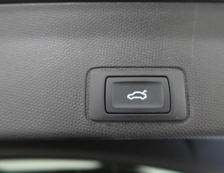 Cupra Terramar 32