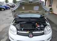 Fiat Panda 31