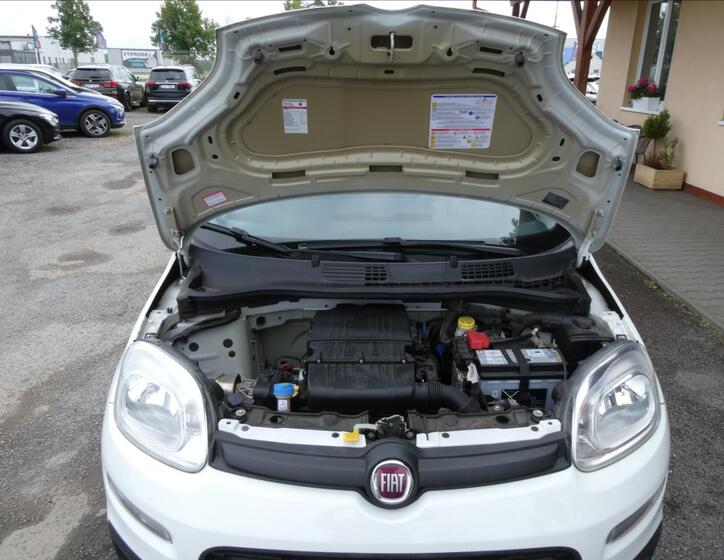 Fiat Panda 31
