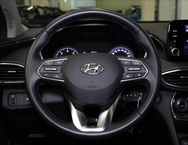Hyundai Santa Fe 10