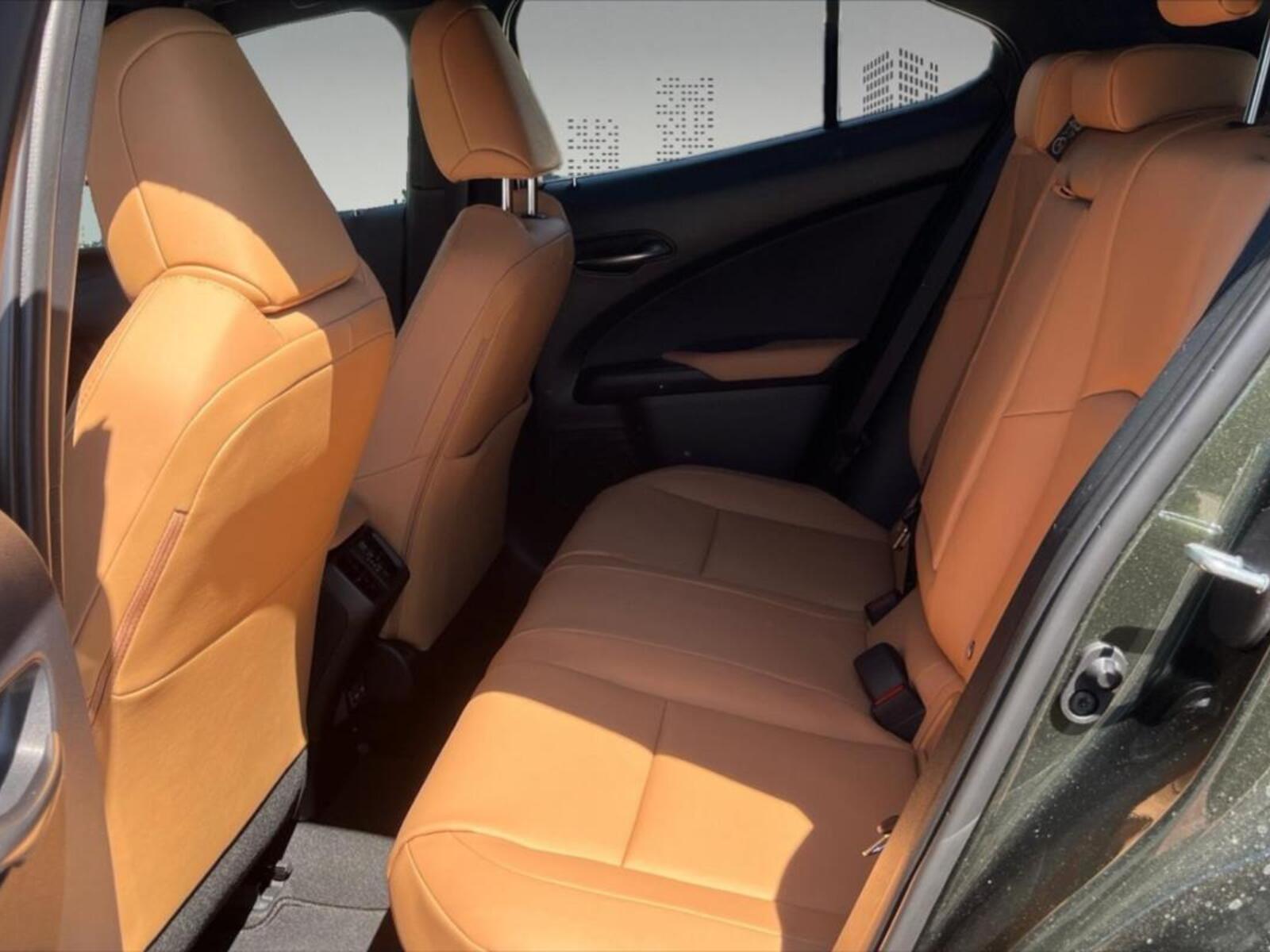 Lexus UX 250h 6