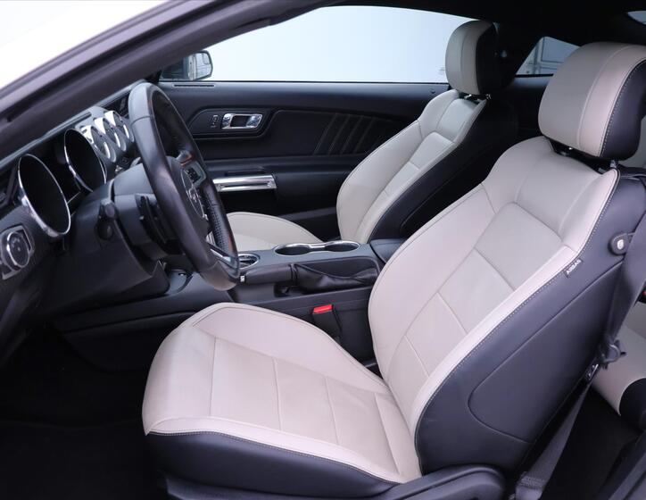 Ford Mustang 12
