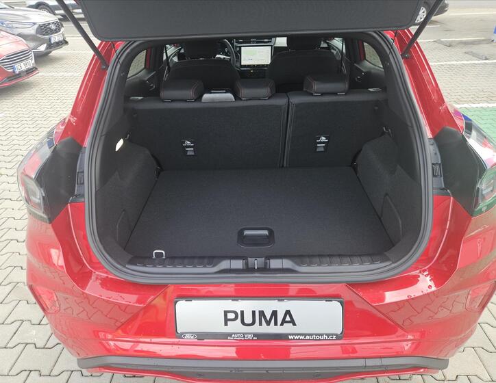 Ford Puma 12