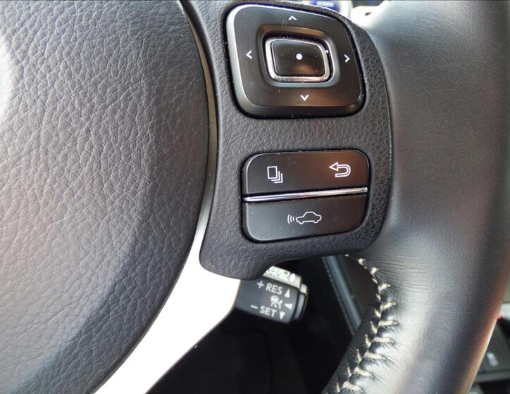 Lexus NX 300h 18