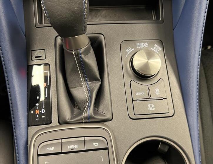 Lexus RC F 15