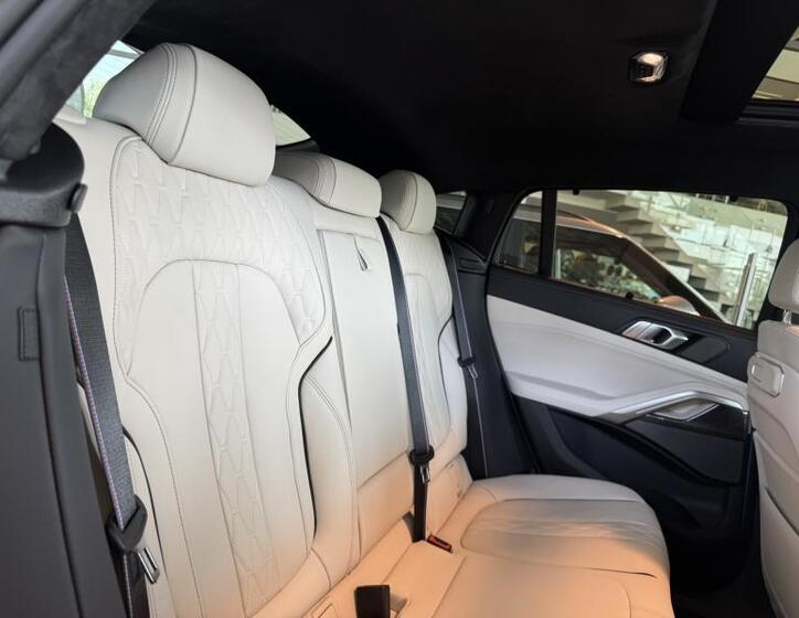 BMW X6 46