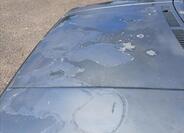 Volkswagen Golf 15