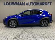 Lexus UX 300h 3