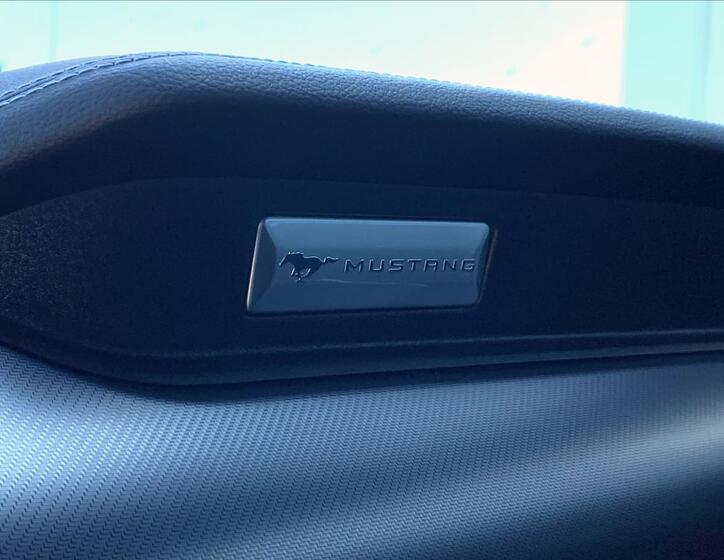 Ford Mustang 31