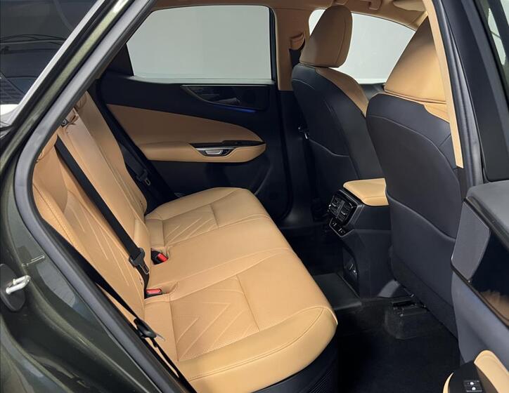 Lexus NX 450h plus 10