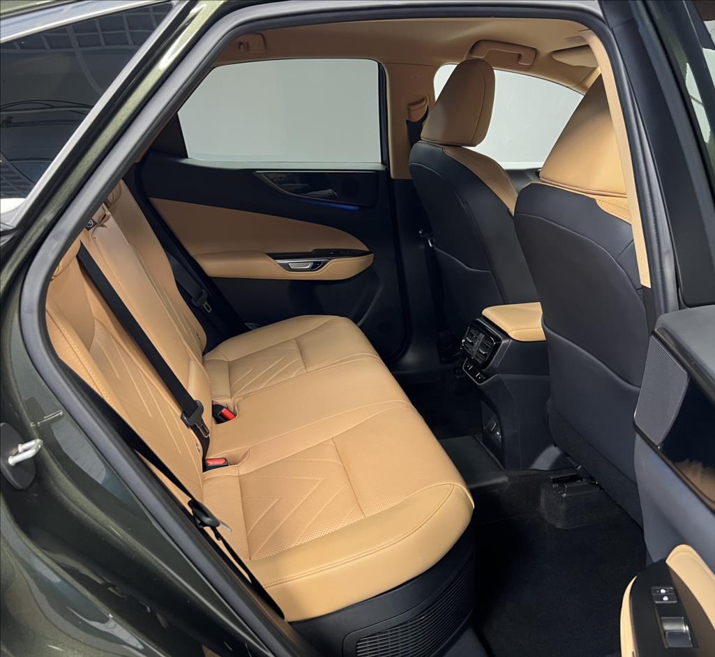 Lexus NX 450h plus