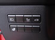 Lexus NX 300h 17