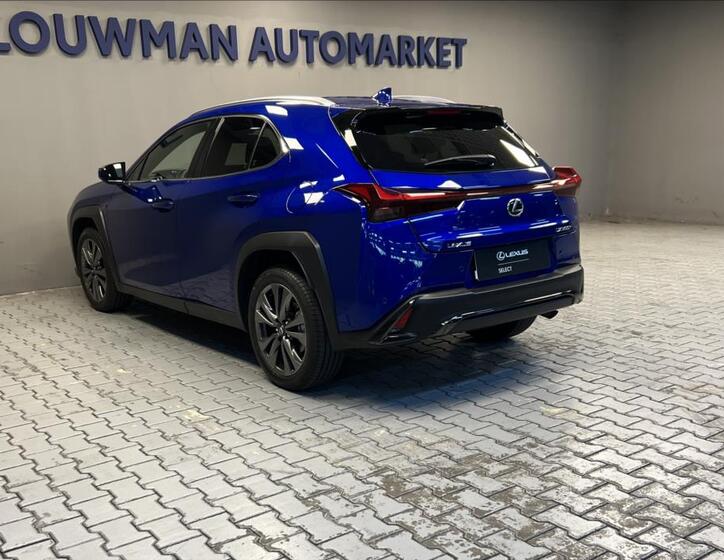 Lexus UX 300h 13