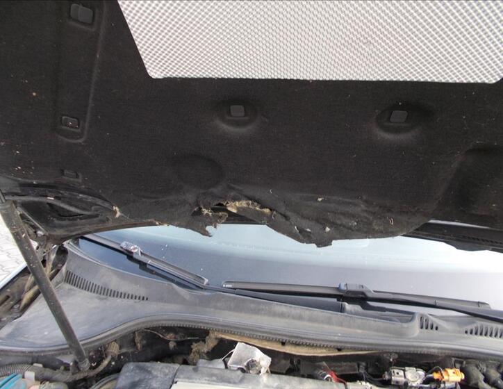 Volkswagen Golf 27