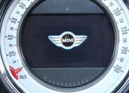 Mini Paceman 22