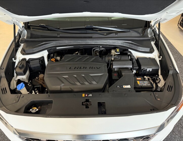Hyundai Santa Fe 33