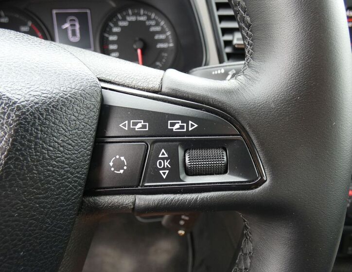 Seat Leon 31