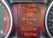 Ford Galaxy 21
