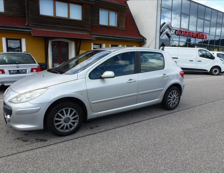 Peugeot 307 14