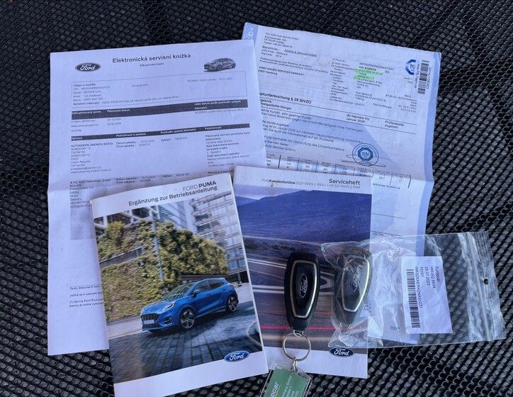 Ford Puma 41
