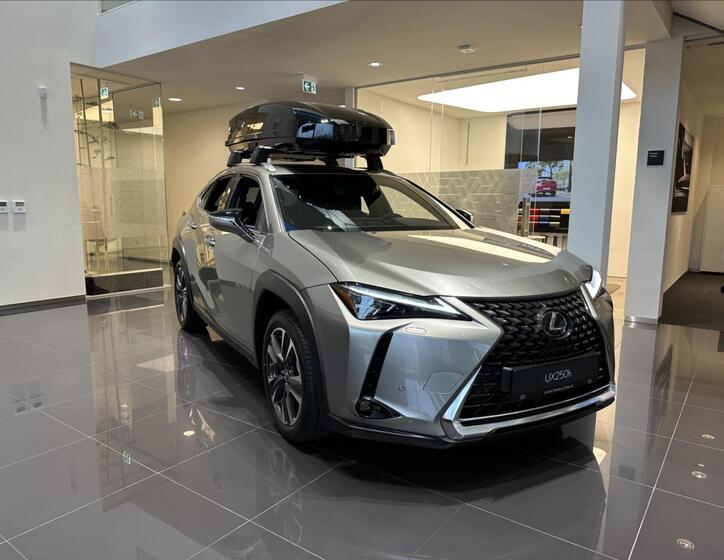 Lexus UX 250h 1