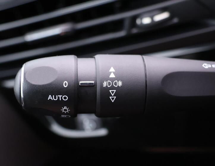 Citroën C4 Picasso 19