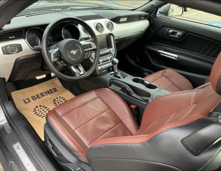 Ford Mustang 9