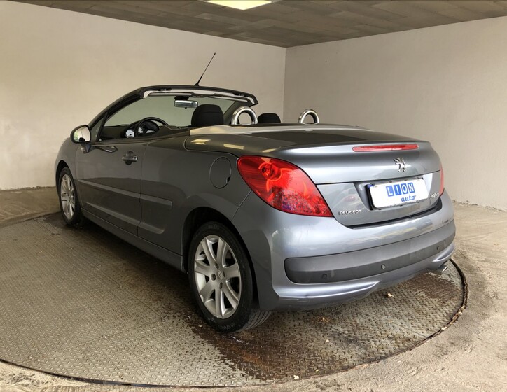 Peugeot 207 13