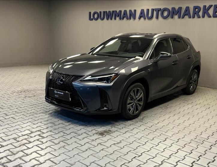 Lexus UX 300h 1