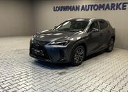 Lexus UX 300h 1