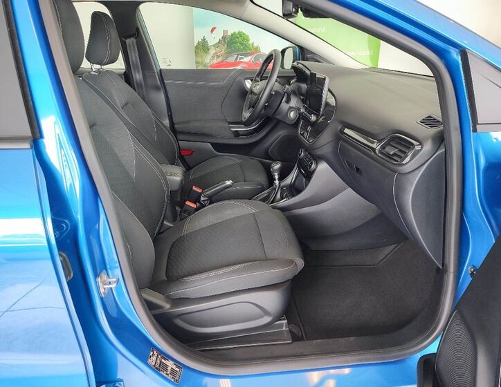Ford Puma 11