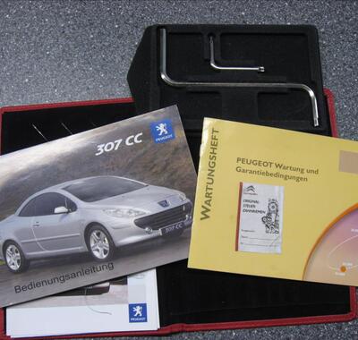 Peugeot 307 46