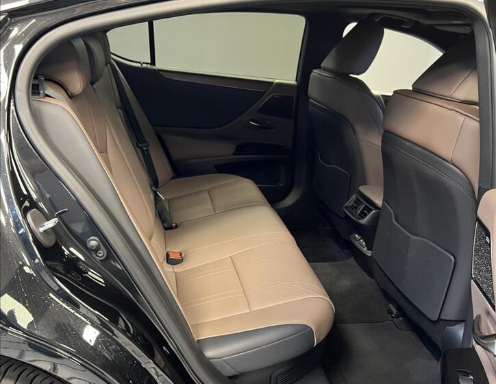 Lexus ES 300h 10