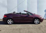 Peugeot 307 16