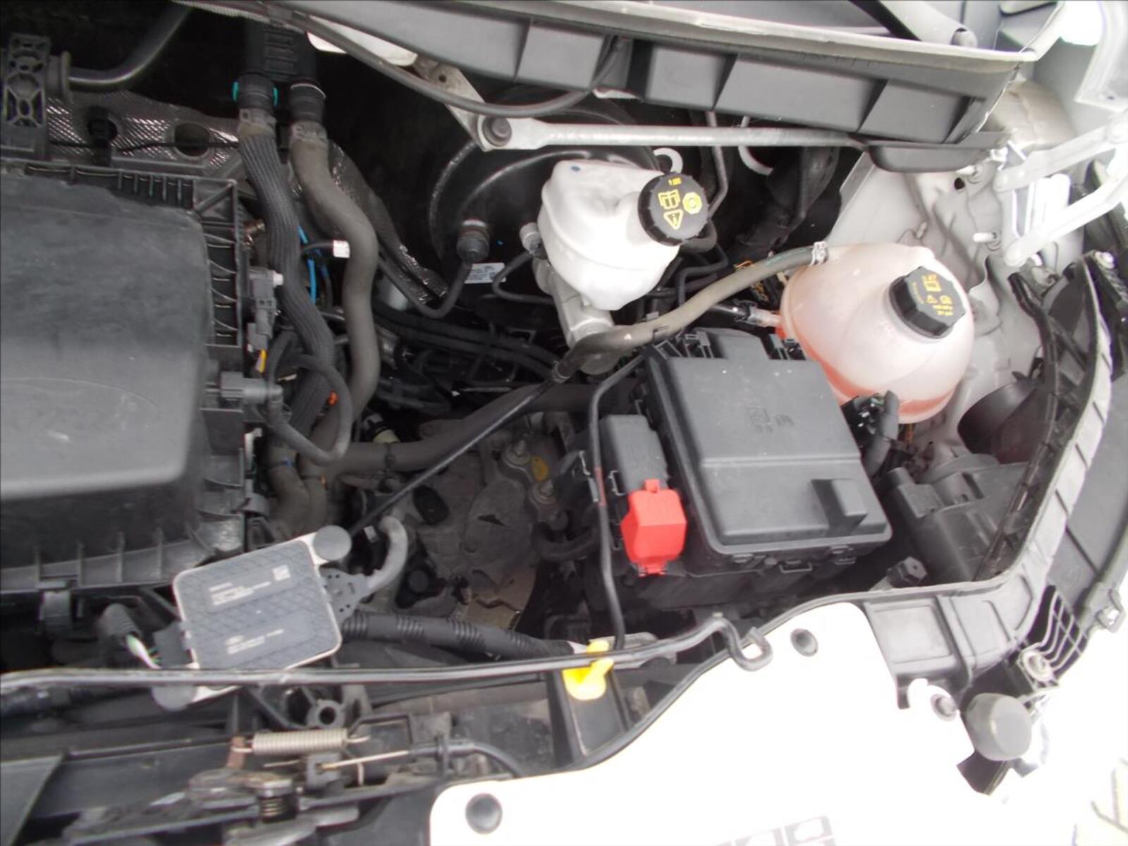 Ford Transit 31