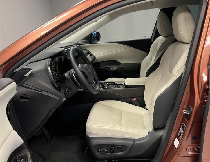 Lexus RX 450h plus 6