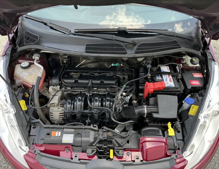 Ford Fiesta 30
