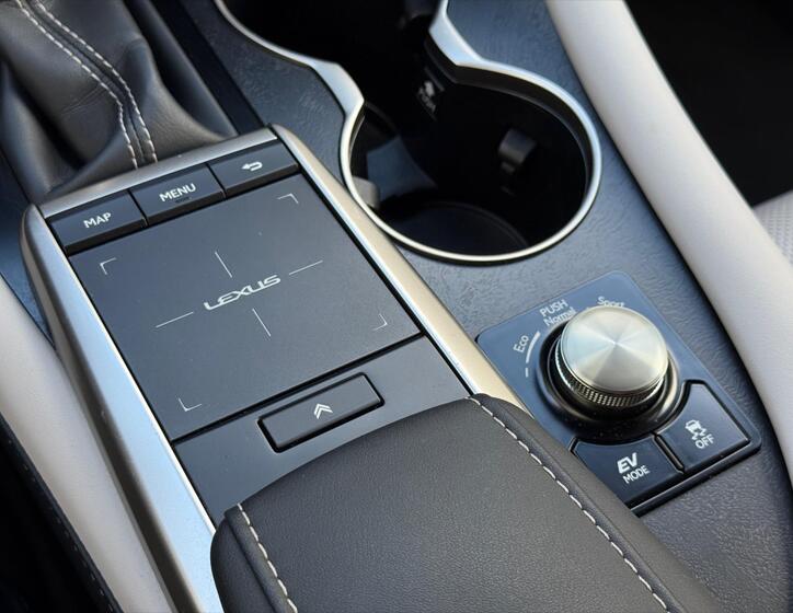 Lexus RX 450h 19