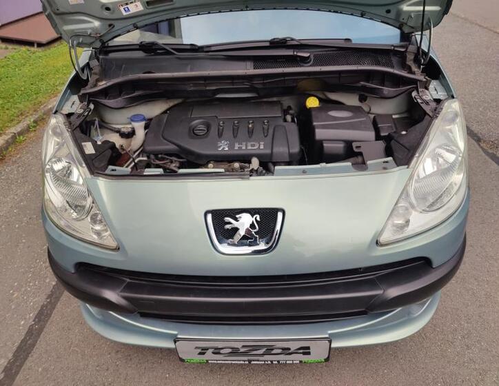 Peugeot 1007 19