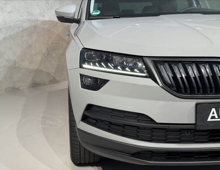 Škoda Karoq 6