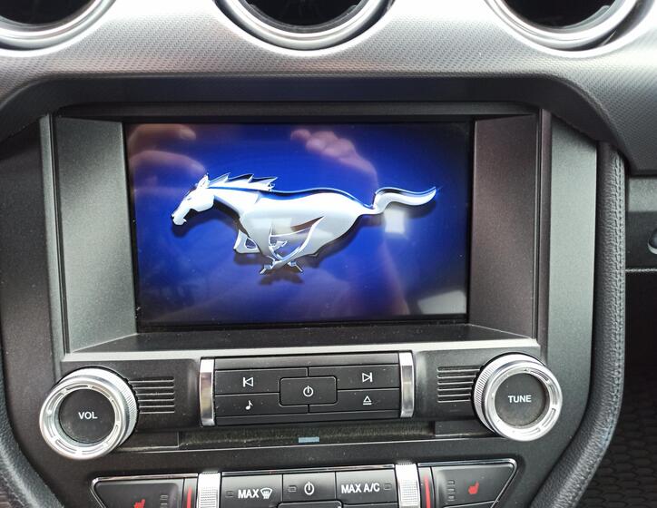 Ford Mustang 20