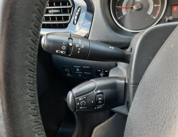 Peugeot 301 17