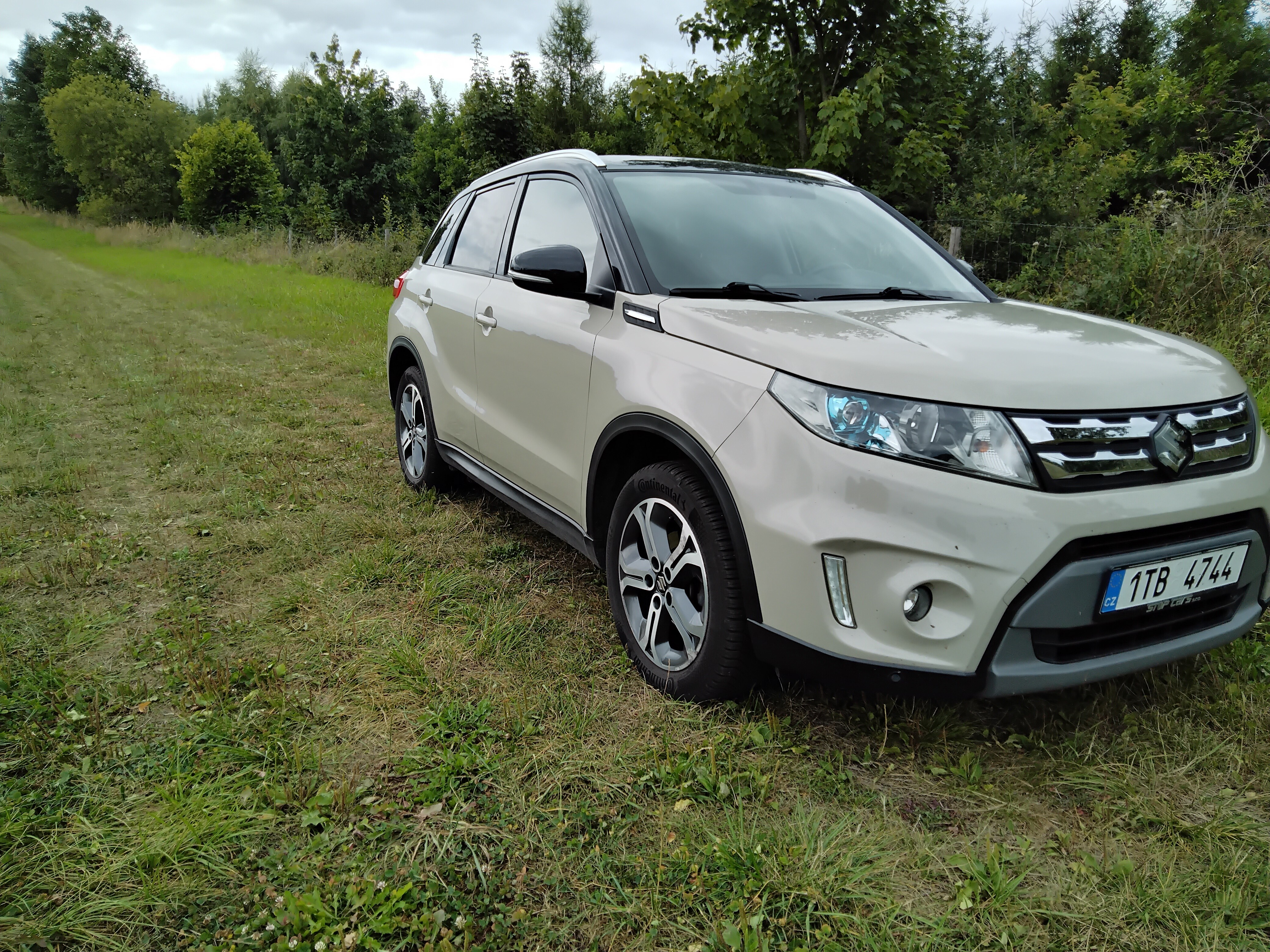 Suzuki Vitara