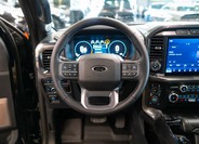Ford F-150 17