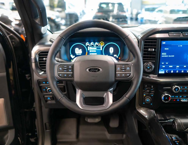 Ford F-150 17