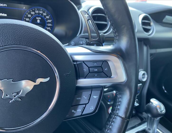 Ford Mustang 19