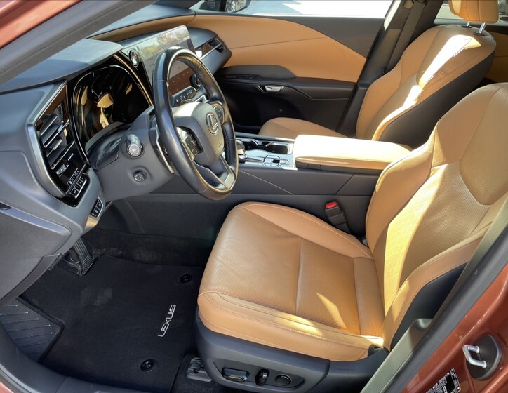 Lexus RX 22