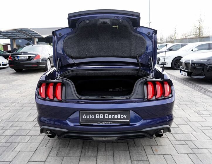 Ford Mustang 19