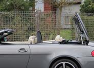 BMW Řada 6 41