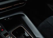 Cupra Ostatní 11